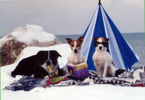 Stoni, Shelby and Twister hamming it up for a Christmas card in the mid 90's.